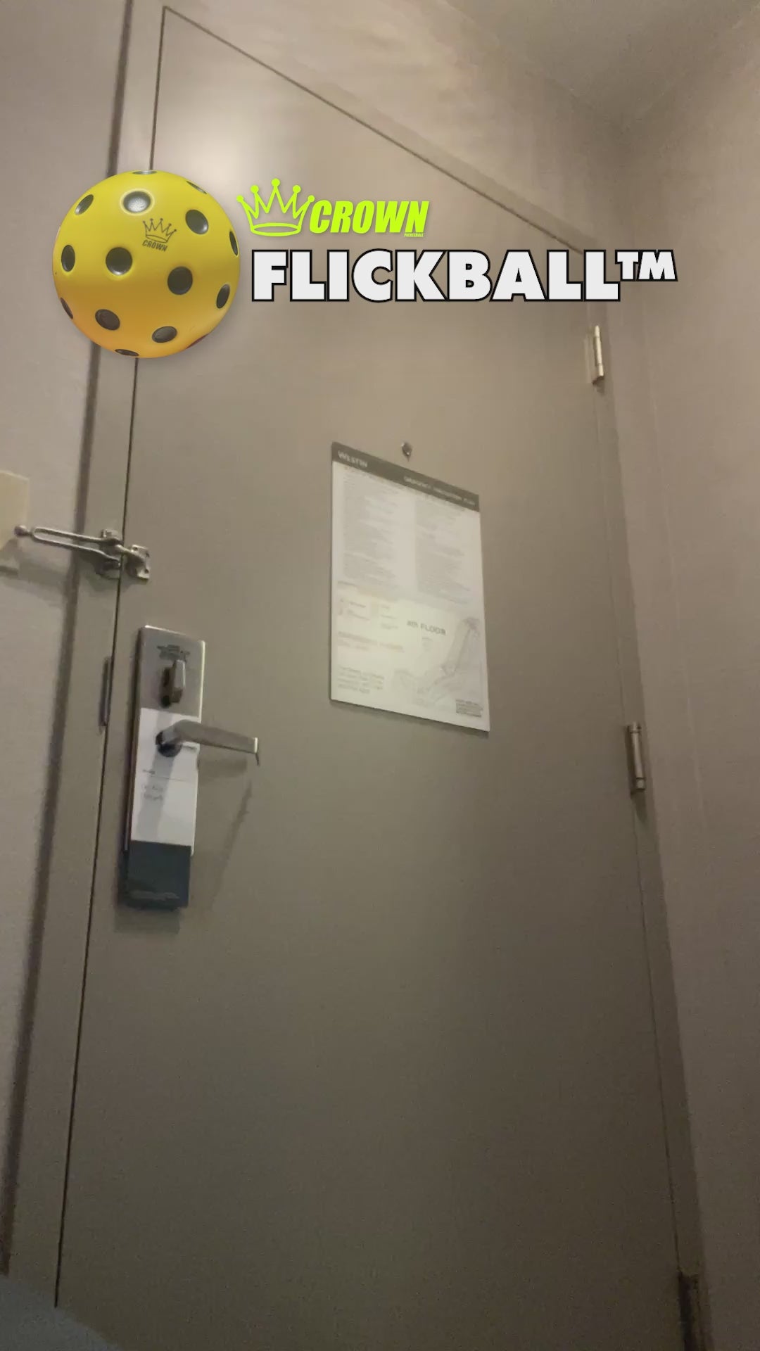 CROWN PICKLEBALL - FLICKBALL™ Training Ball (YELLOW)